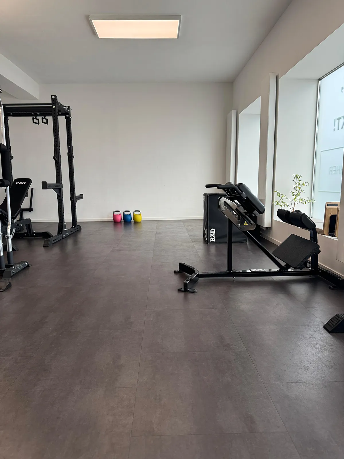 Transform Gym 4